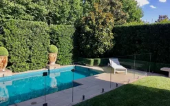 Bay Laurel (Sweet Bay) - Laurus Nobilis - 1 Gallon Pot -Cheap Green Garden Store Bay Laurel 7