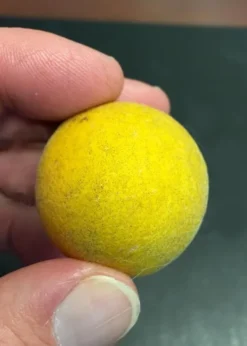 Flying Dragon Hardy Orange Tree - 3 Gallon Pot -Cheap Green Garden Store Orange Flying Dragon 6