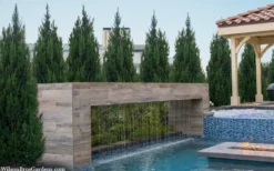 Spartan Juniper - 7 Gallon Pot (3-4') 9 Spartan Juniper - 7 Gallon Pot (3-4') -Cheap Green Garden Store juniperus chinensis spartan columnar juniper 40