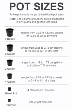 Cheap Green Garden Store -Cheap Green Garden Store pot size chart 2022 666